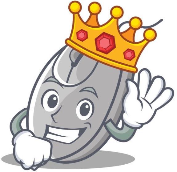 blog_22 Muiskampioen 