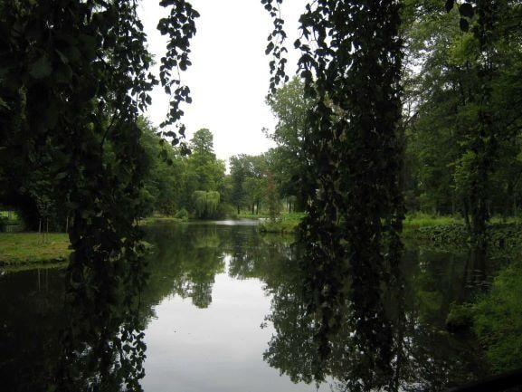 blog_15_tuin met wegspringende poes-er was eens...een planning-reis door ondernemersland 