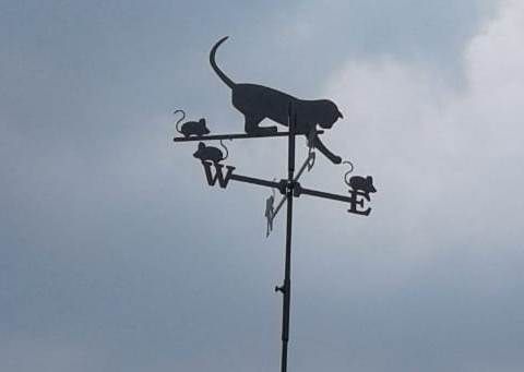 blog_6_windwijzer kat en muizen-zeilen naar de wind zetten-reis door ondernemersland 